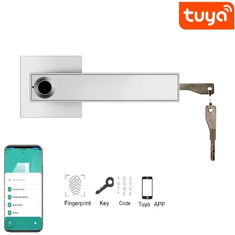 블루투스 호환 Tuya 앱이 포함된 새로운 스마트 도어 - Electronics Home Gadgets 리뷰 및 가격